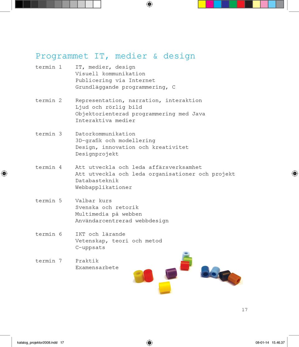 innovation och kreativitet Designprojekt Att utveckla och leda affärsverksamhet Att utveckla och leda organisationer och projekt Databasteknik Webbapplikationer Valbar kurs Svenska