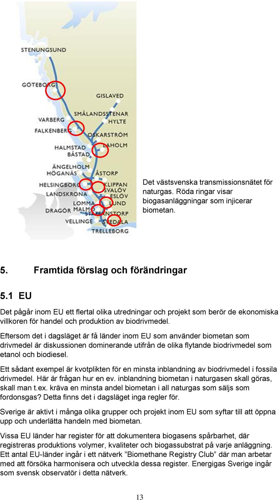 Eftersom det i dagsläget är få länder inom EU som använder biometan som drivmedel är diskussionen dominerande utifrån de olika flytande biodrivmedel som etanol och biodiesel.