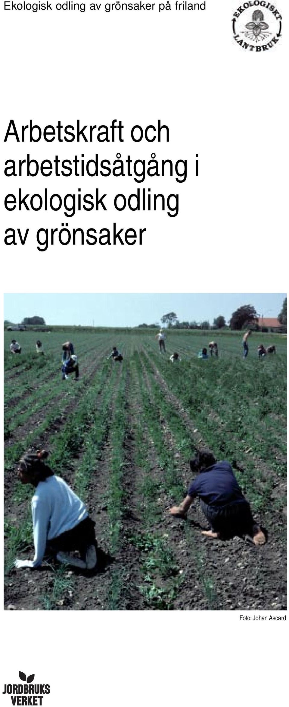 arbetstidsåtgång i ekologisk