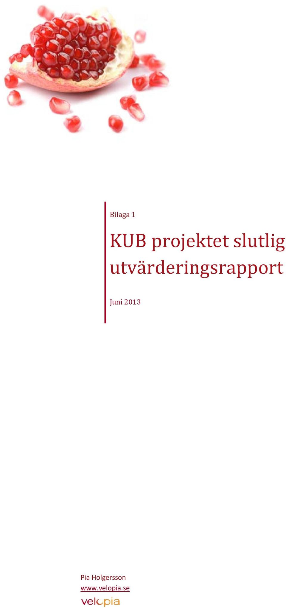 utvärderingsrapport