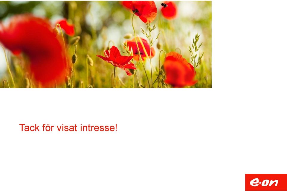 intresse!