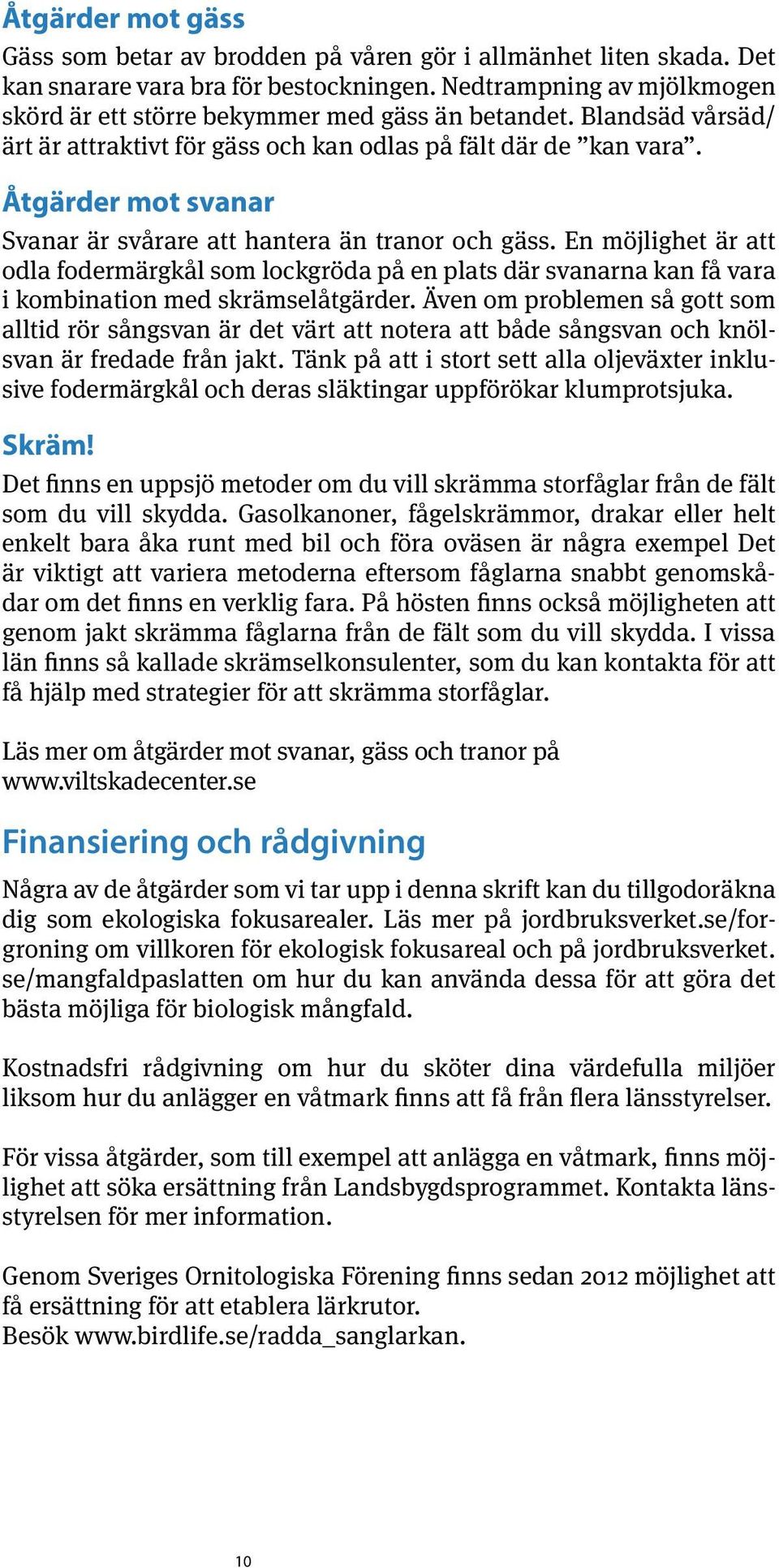 Åtgärder mot svanar Svanar är svårare att hantera än tranor och gäss. En möjlighet är att odla fodermärgkål som lockgröda på en plats där svanarna kan få vara i kombination med skrämselåtgärder.