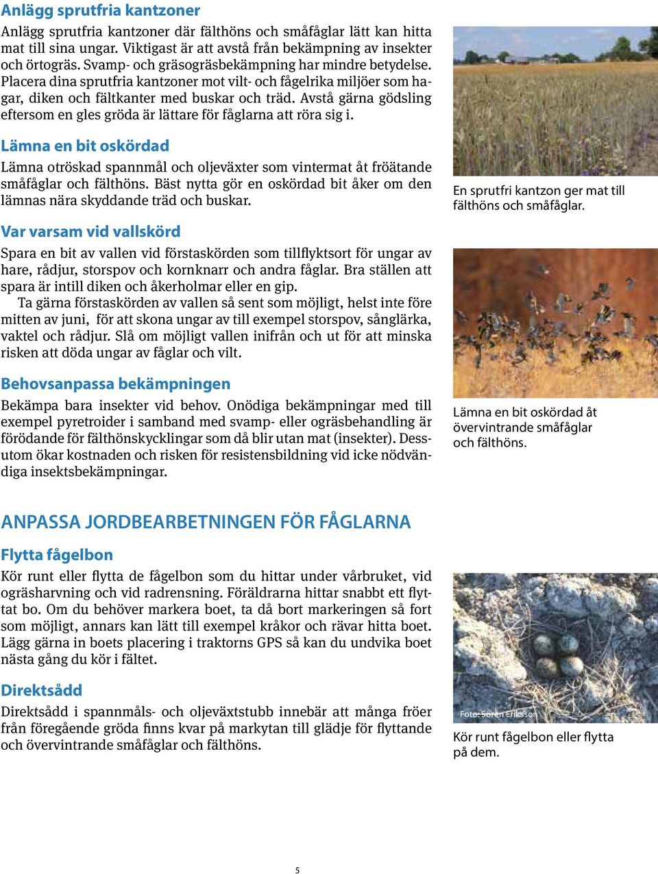 Avstå gärna gödsling eftersom en gles gröda är lättare för fåglarna att röra sig i. Lämna en bit oskördad Lämna otröskad spannmål och oljeväxter som vintermat åt fröätande småfåglar och fälthöns.