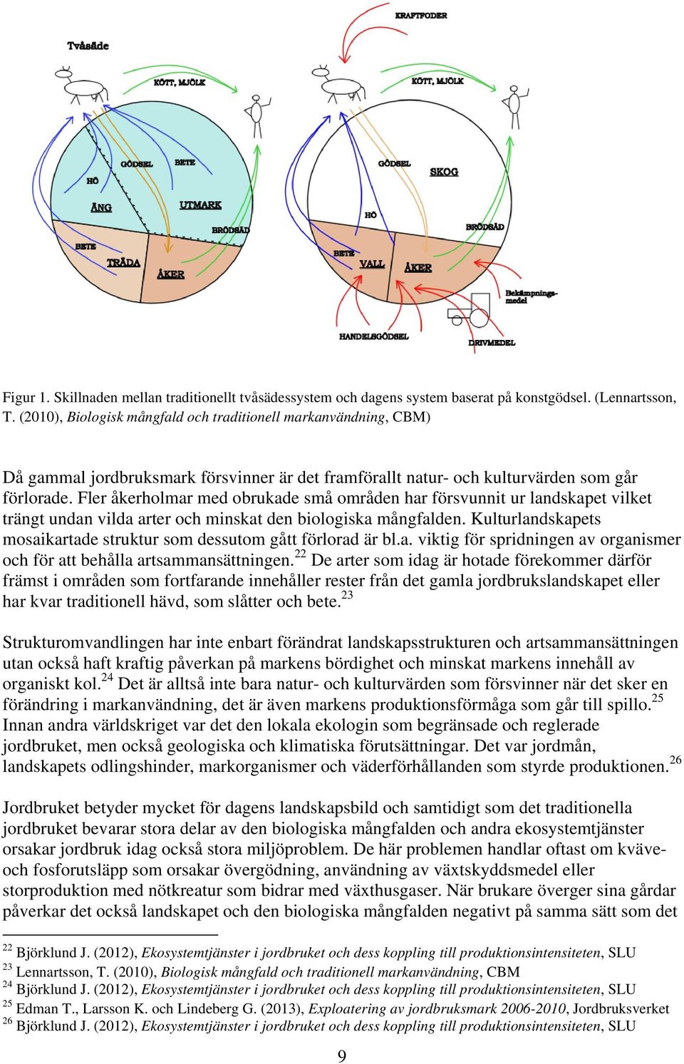 Fler åkerholmar med obrukade små områden har försvunnit ur landskapet vilket trängt undan vilda arter och minskat den biologiska mångfalden.