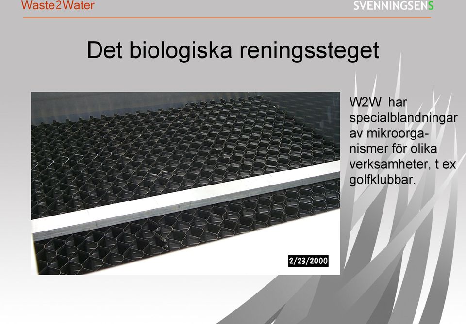 av mikroorganismer för olika