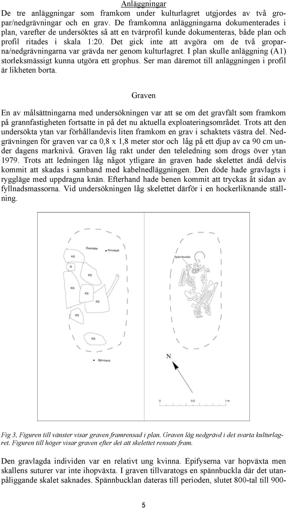 Det gick inte att avgöra om de två groparna/nedgrävningarna var grävda ner genom kulturlagret. I plan skulle anläggning (A1) storleksmässigt kunna utgöra ett grophus.