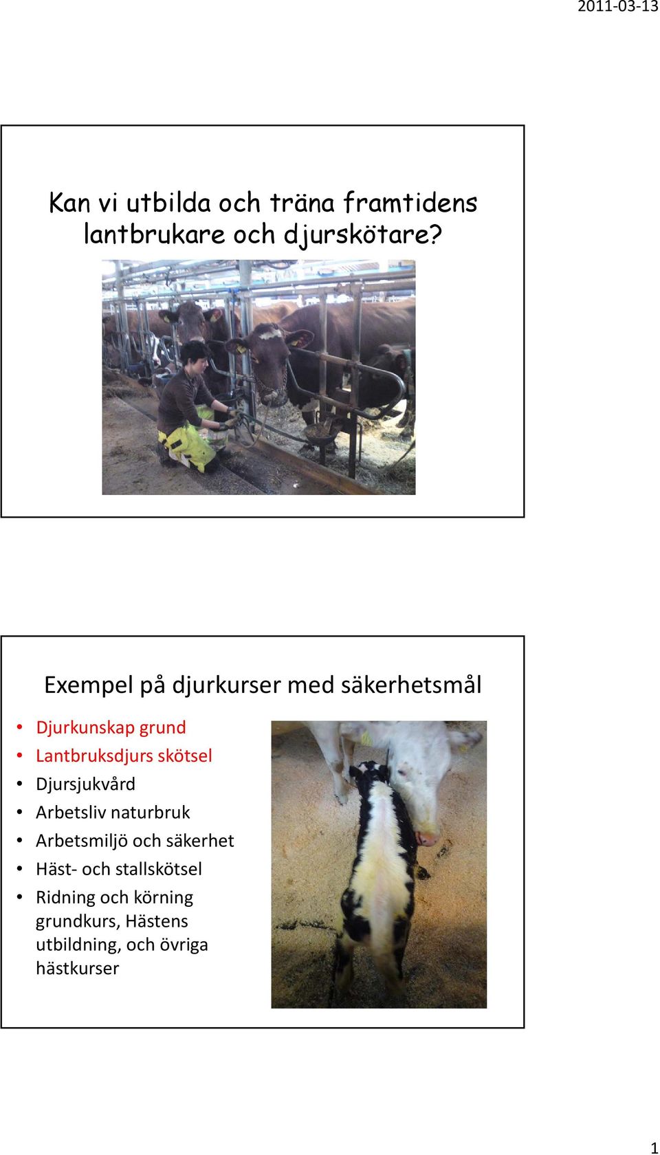 skötsel Djursjukvård Arbetsliv naturbruk Arbetsmiljö och säkerhet Häst och