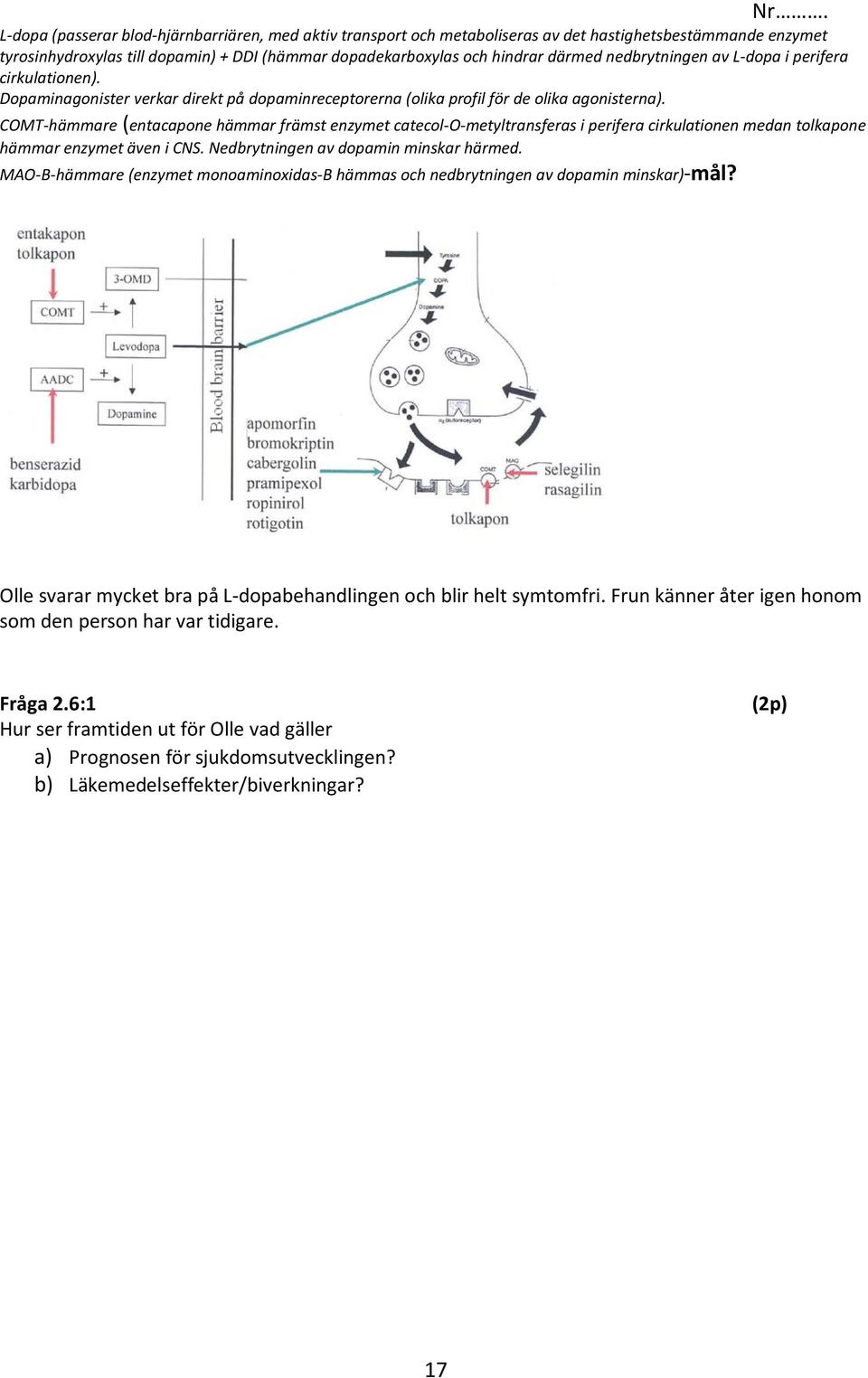 COMT-hämmare (entacapone hämmar främst enzymet catecol-o-metyltransferas i perifera cirkulationen medan tolkapone hämmar enzymet även i CNS. Nedbrytningen av dopamin minskar härmed.