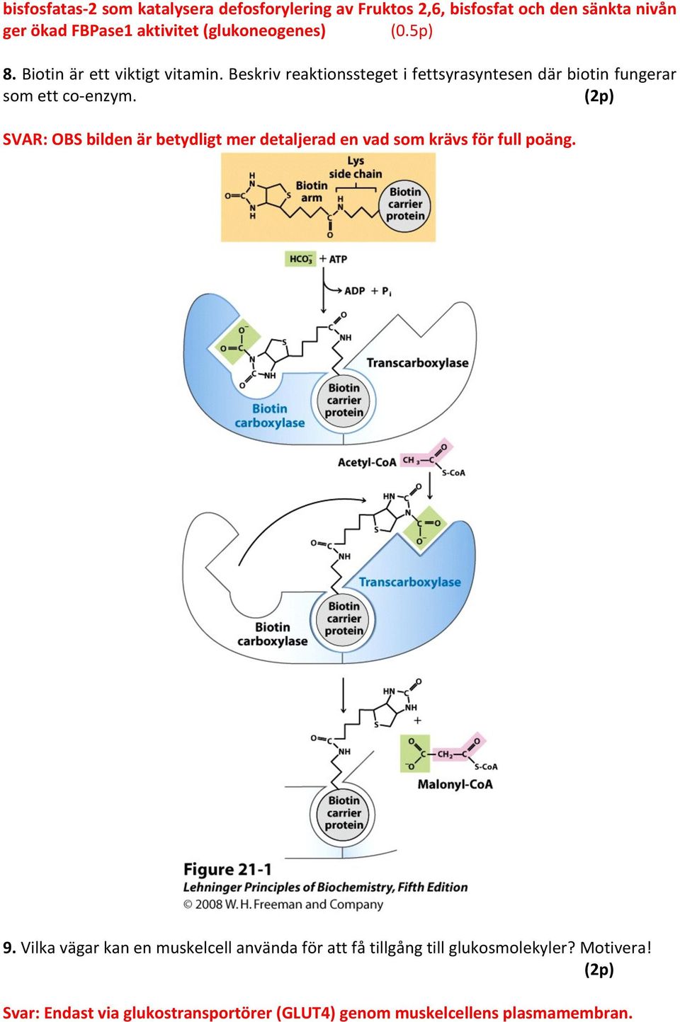 Beskriv reaktionssteget i fettsyrasyntesen där biotin fungerar som ett co- enzym.