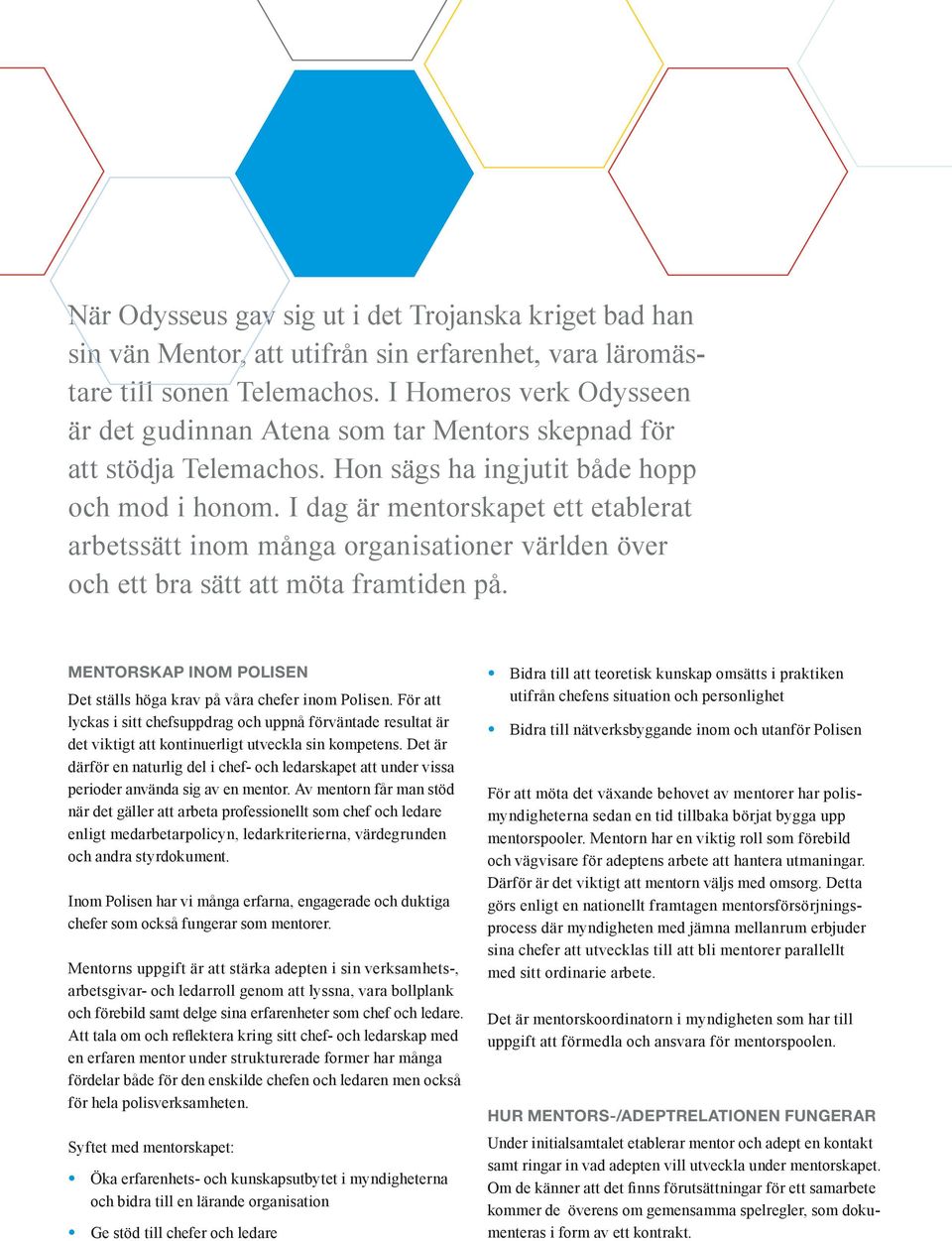 I dag är mentor skapet ett etablerat arbetssätt inom många organisationer världen över och ett bra sätt att möta framtiden på. Mentorskap inom Polisen Det ställs höga krav på våra chefer inom Polisen.