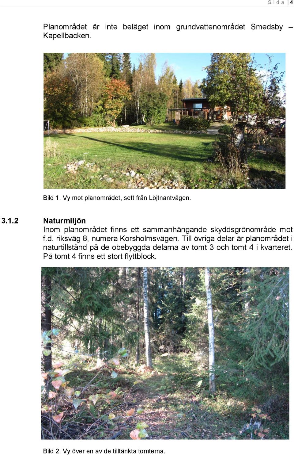 2 Naturmiljön Inom planområdet finns ett sammanhängande skyddsgrönområde mot f.d. riksväg 8, numera Korsholmsvägen.