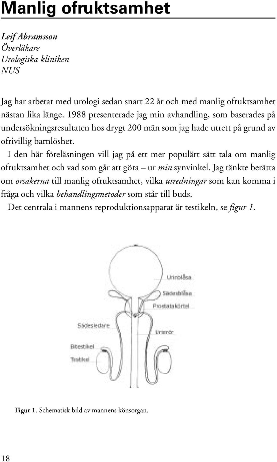 I den här föreläsningen vill jag på ett mer populärt sätt tala om manlig ofruktsamhet och vad som går att göra ur min synvinkel.