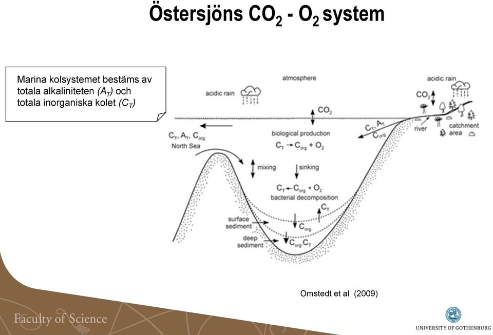 alkaliniteten (A T ) och totala