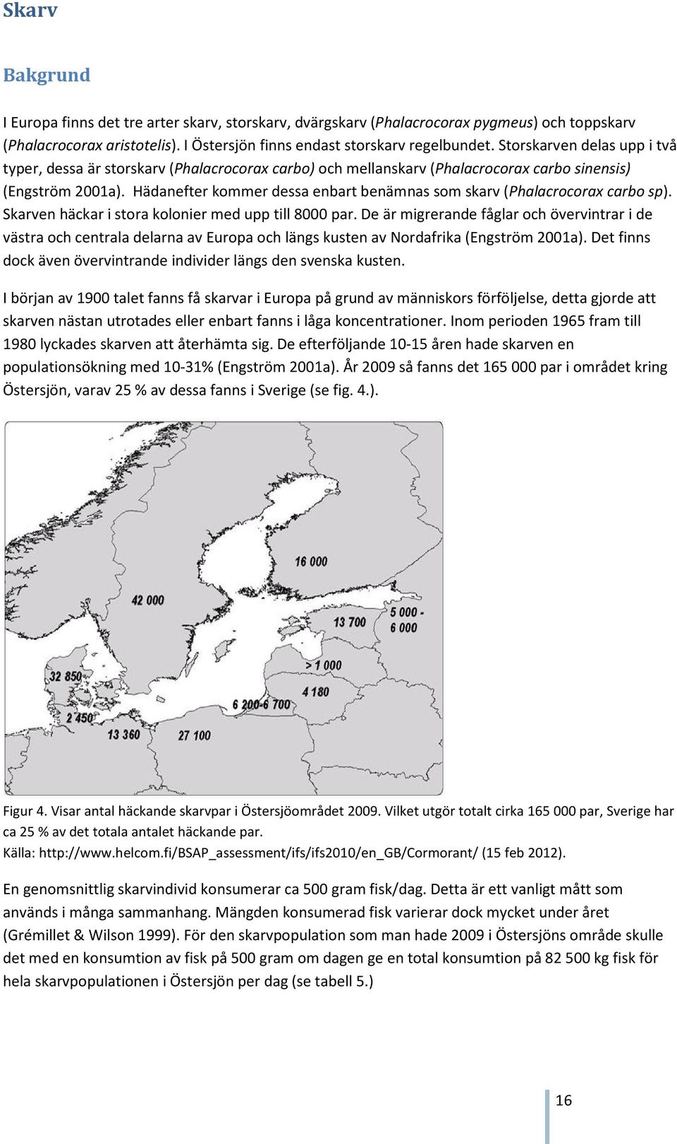 Hädanefter kommer dessa enbart benämnas som skarv (Phalacrocorax carbo sp). Skarven häckar i stora kolonier med upp till 8000 par.