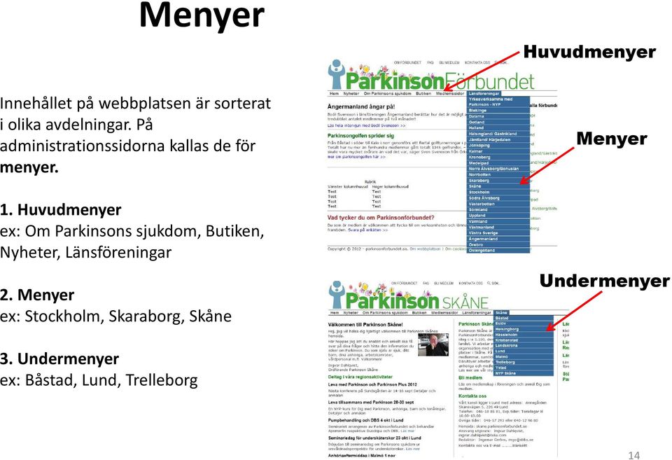 Huvudmenyer ex: Om Parkinsons sjukdom, Butiken, Nyheter, Länsföreningar 2.