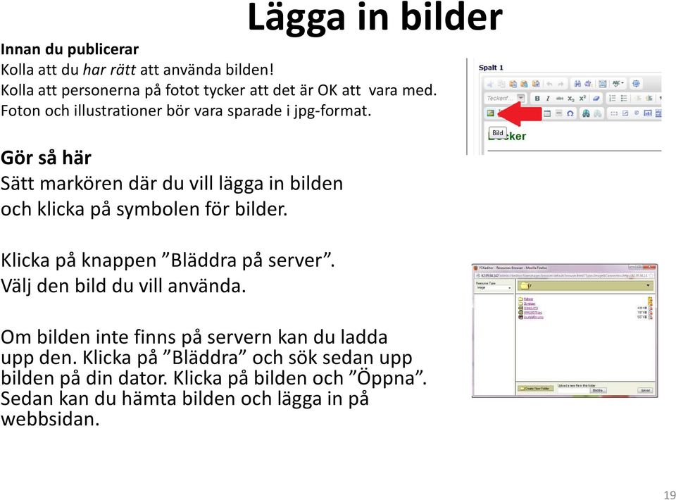 Gör så här Sätt markören där du vill lägga in bilden och klicka på symbolen för bilder. Klicka på knappen Bläddra på server.