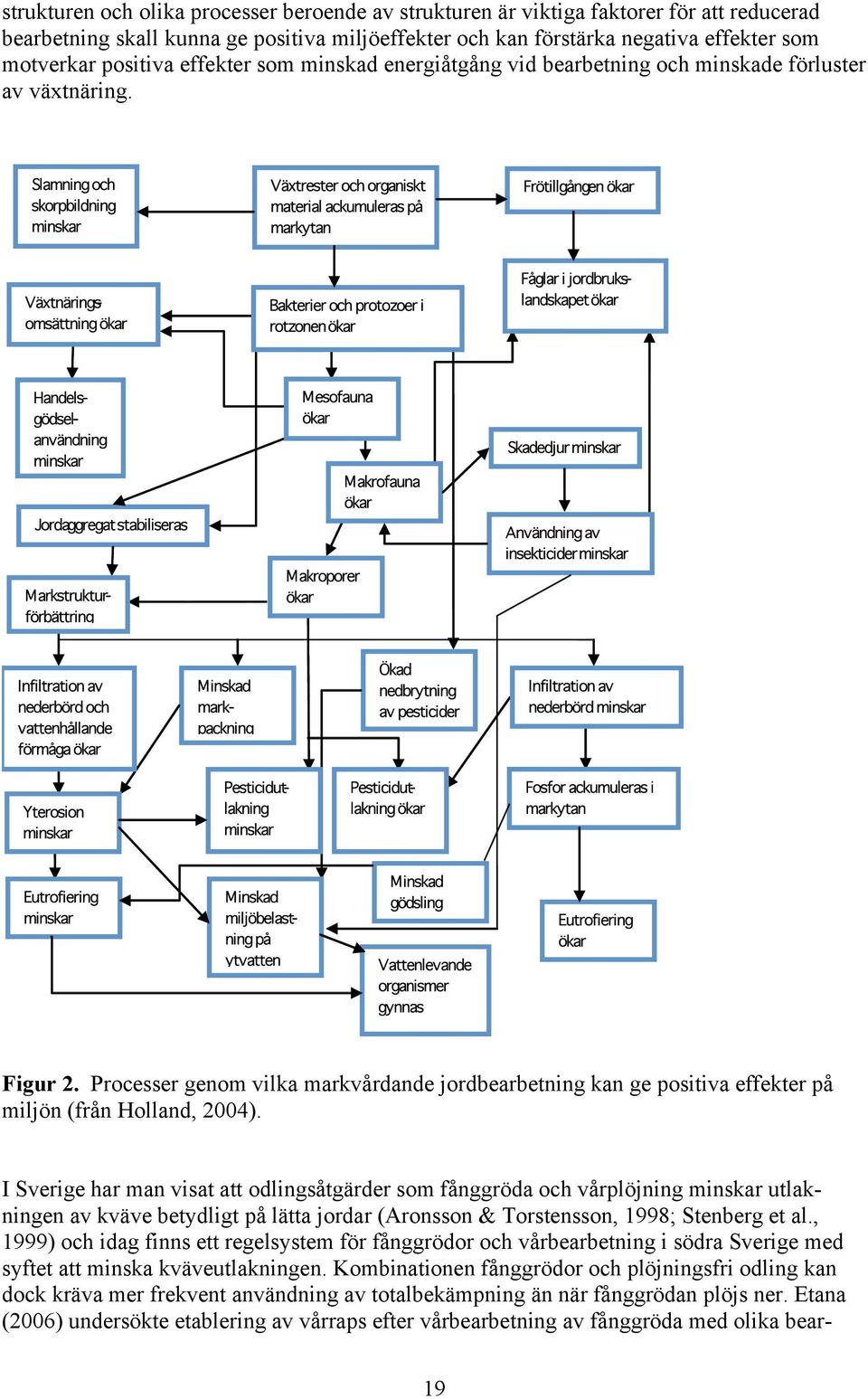 Processer genom vilka markvårdande jordbearbetning kan ge positiva effekter på miljön (från Holland, 2004).