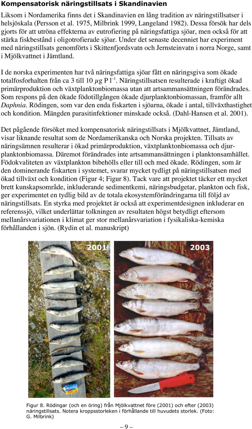 Under det senaste decenniet har experiment med näringstillsats genomförts i Skittenfjordsvatn och Jernsteinvatn i norra Norge, samt i Mjölkvattnet i Jämtland.
