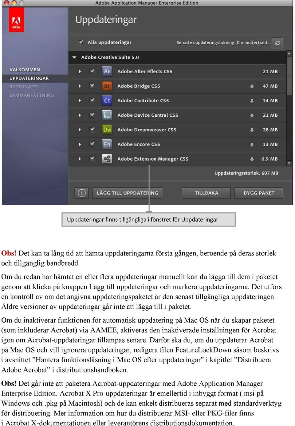 Det utförs en kontroll av om det angivna uppdateringspaketet är den senast tillgängliga uppdateringen. Äldre versioner av uppdateringar går inte att lägga till i paketet.