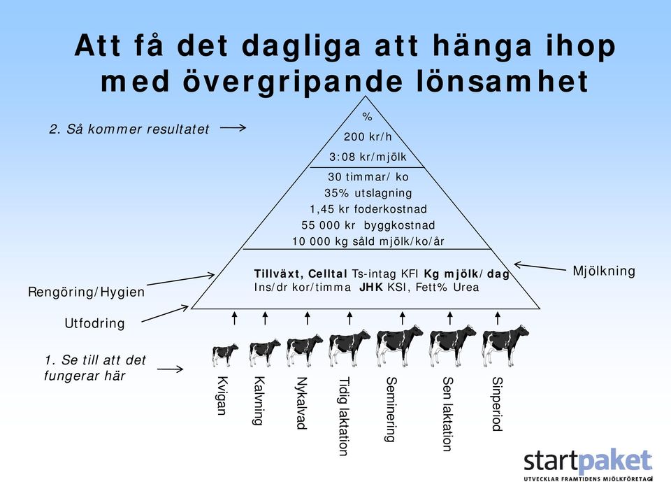 kr foderkostnad 55 000 kr byggkostnad 10 000 kg såld mjölk/ko/år Tillväxt, Celltal Ts-intag KFI Kg mjölk/dag