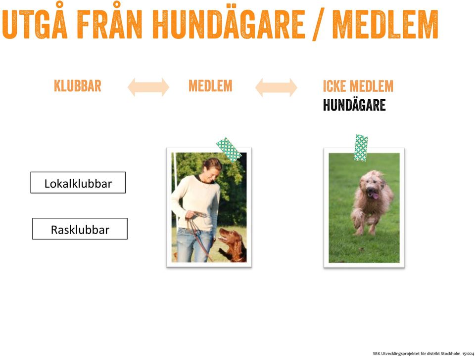 ICKE medlem HUNDÄGARE