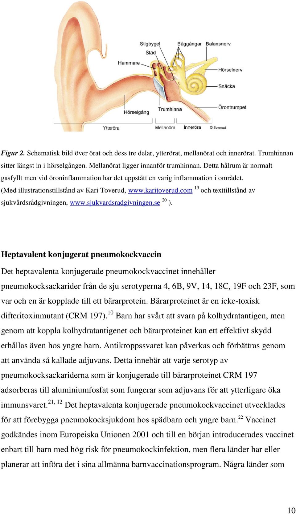 com 19 och texttillstånd av sjukvårdsrådgivningen, www.sjukvardsradgivningen.se 20 ).