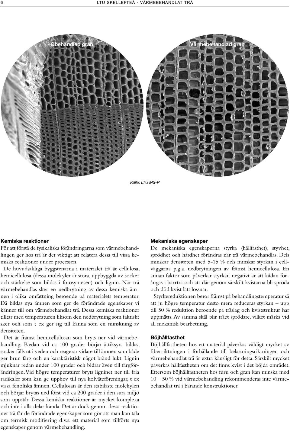 De huvudsakliga byggstenarna i materialet trä är cellulosa, hemicellulosa (dessa molekyler är stora, uppbyggda av socker och stärkelse som bildas i fotosyntesen) och lignin.