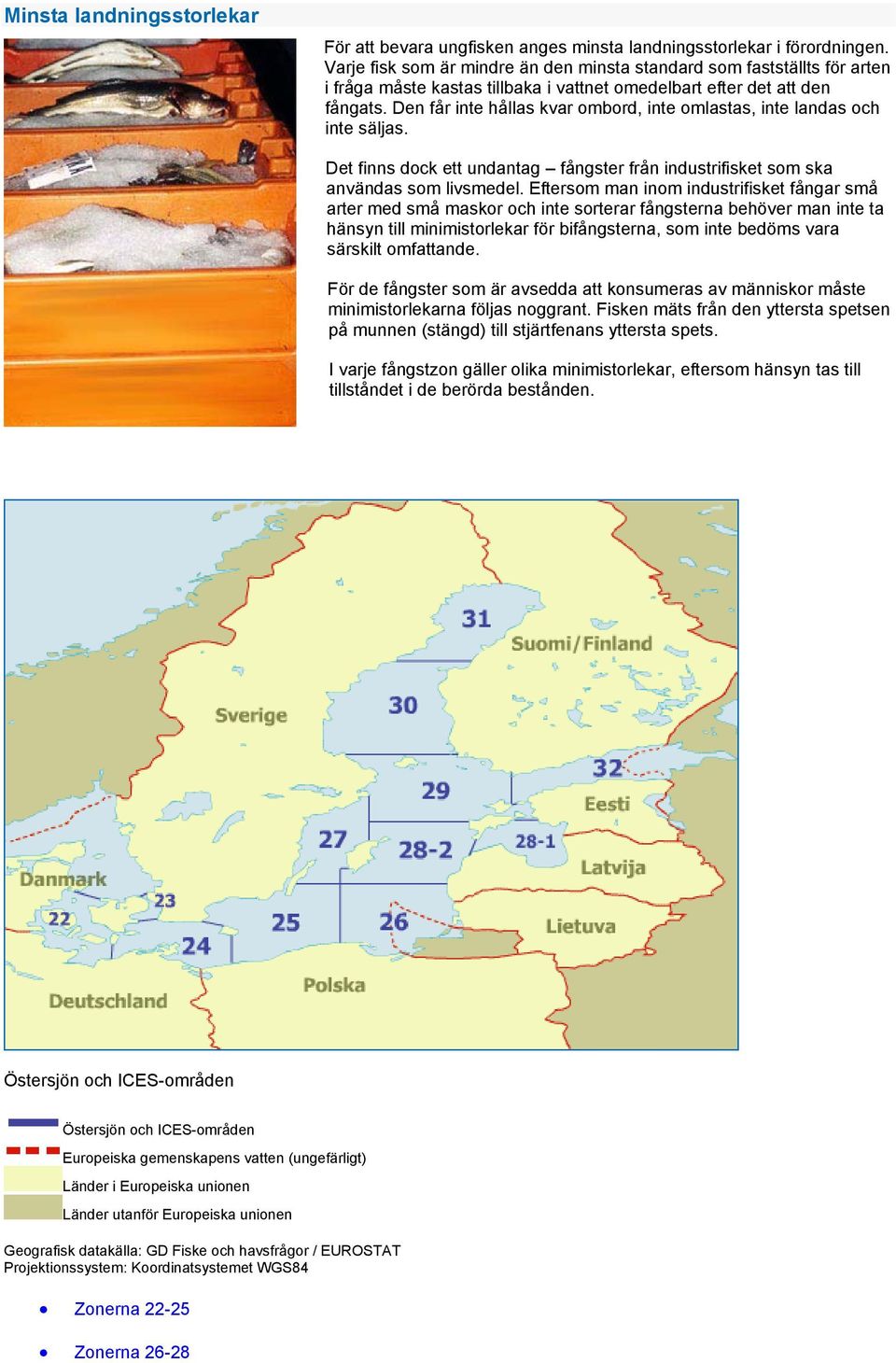 Den får inte hållas kvar ombord, inte omlastas, inte landas och inte säljas. Det finns dock ett undantag fångster från industrifisket som ska användas som livsmedel.