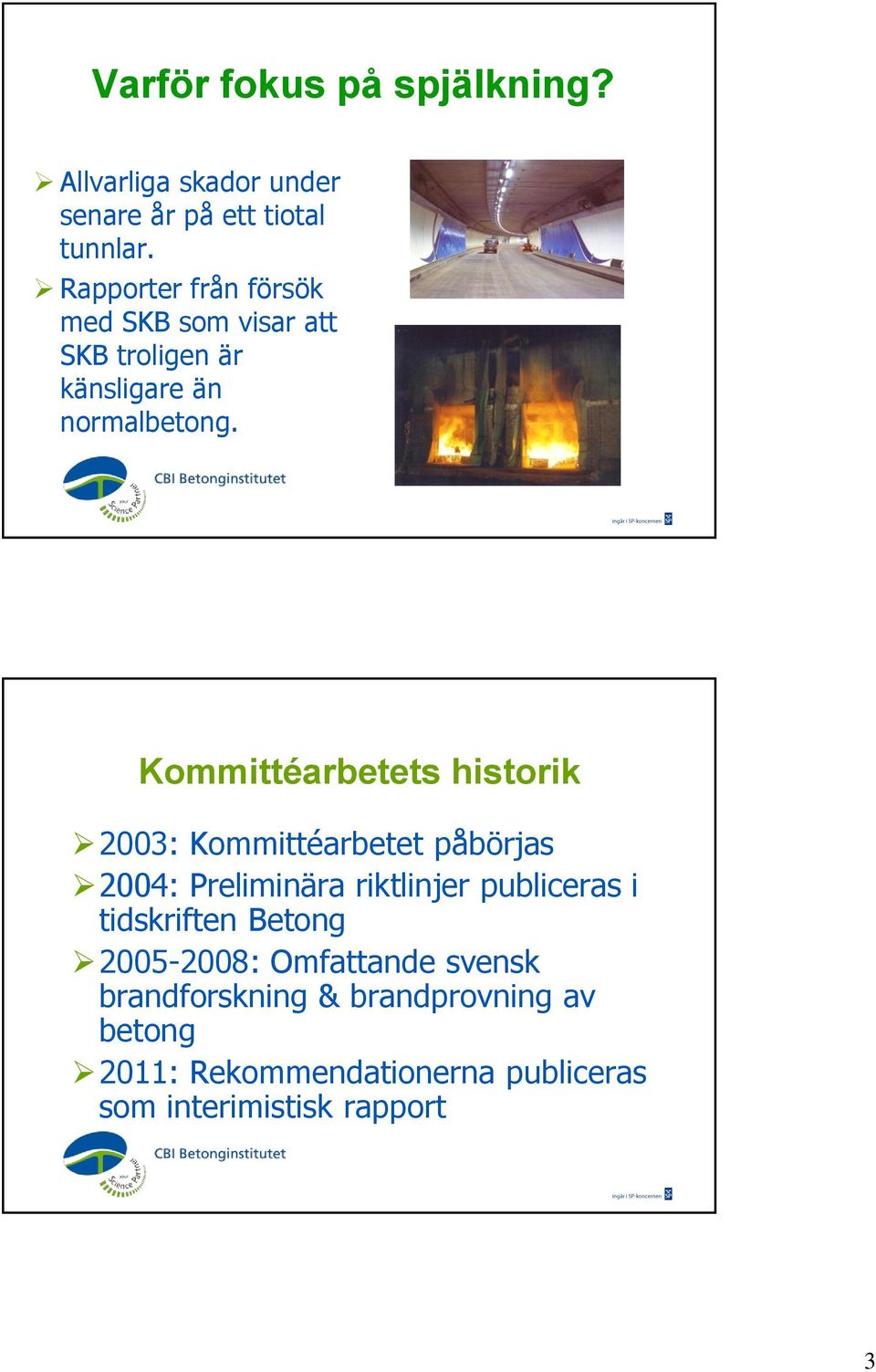 Kommittéarbetets historik 2003: Kommittéarbetet påbörjas 2004: Preliminära riktlinjer publiceras i