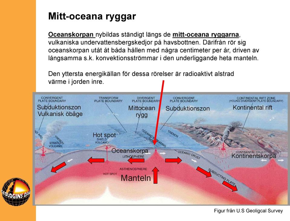 Därifrån rör sig oceanskorpan utåt åt båda hållen med några centimeter per år, driven av långsamma s.k. konvektionsströmmar i den underliggande heta manteln.