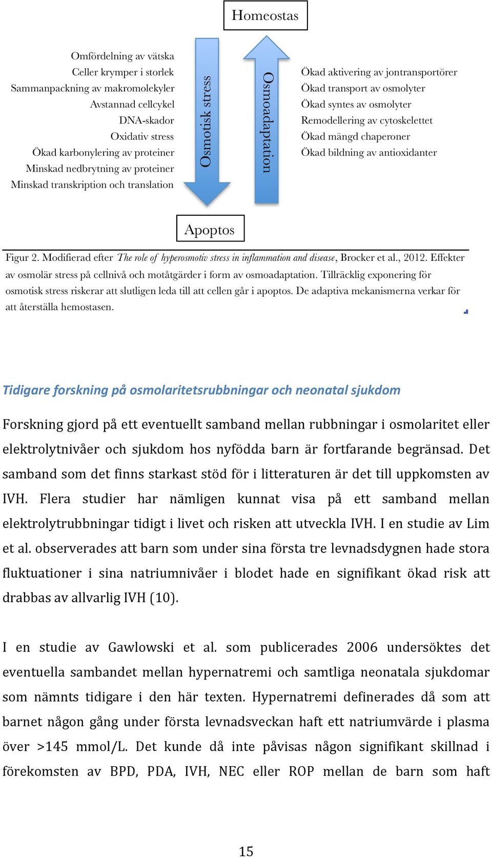 Flera studier har nämligen kunnat visa på ett samband mellan elektrolytrubbningar tidigt i livet och risken att utveckla IVH. I en studie av Lim et al.