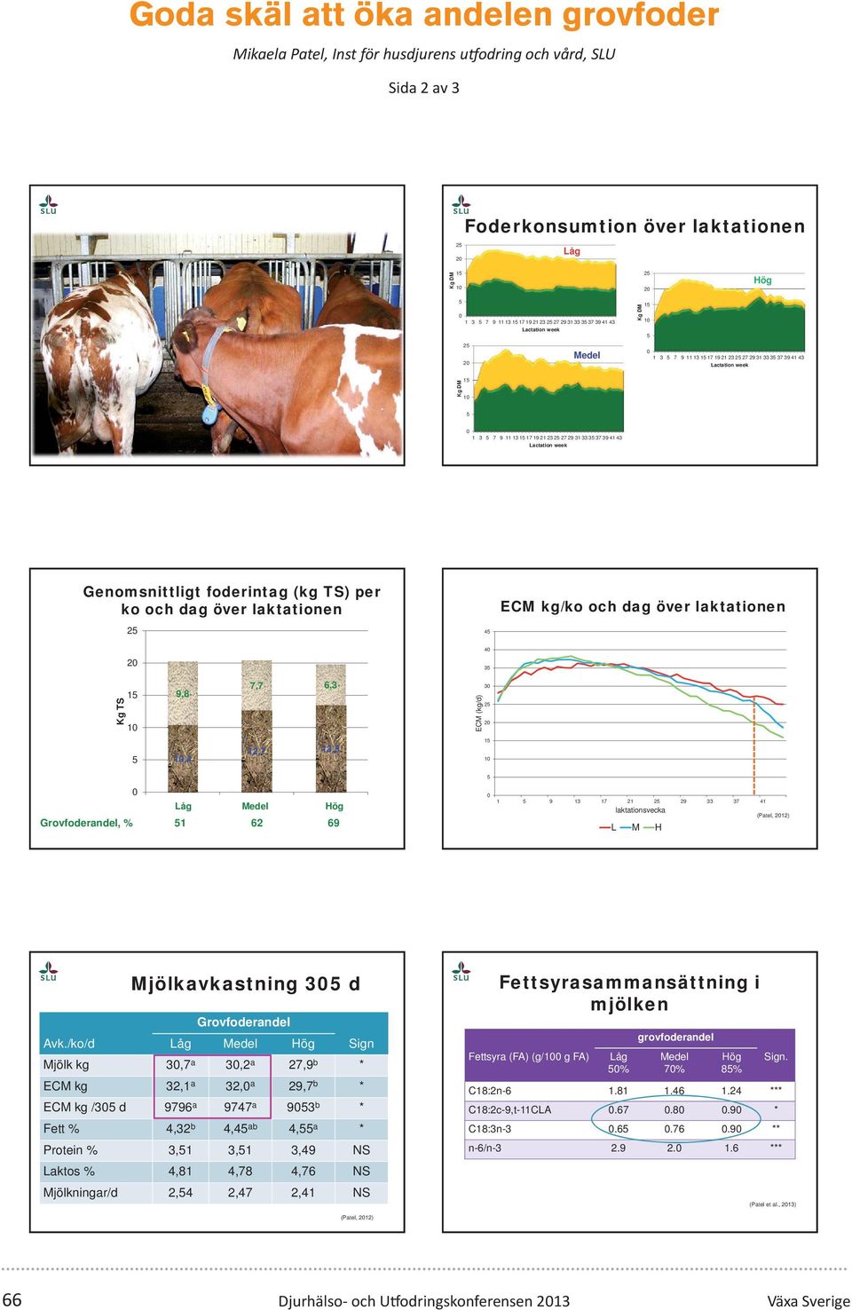 6,3 ECM (kg/d) 3 2 2 1,4 12,7 13, 1 Low Låg Medium Medel High Hög, % 1 62 69 1 9 13 17 21 2 29 33 37 41 laktationsvecka (Patel, 212) L M H Mjölkavkastning 3 d Avk.