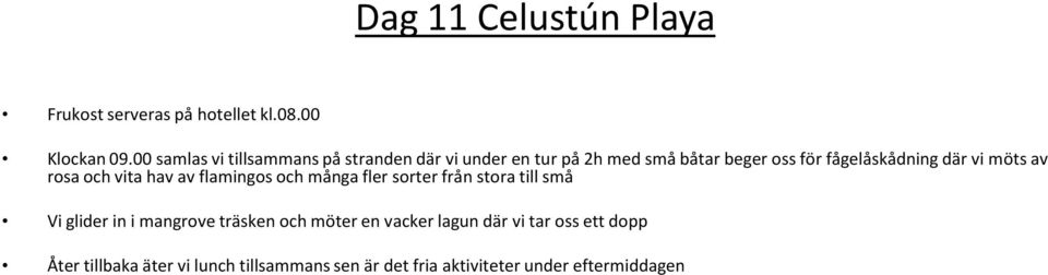 där vi möts av rosa och vita hav av flamingos och många fler sorter från stora till små Vi glider in i