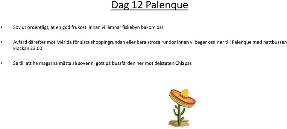 strosa rundor innan vi beger oss ner till Palenque med nattbussen klockan 23.