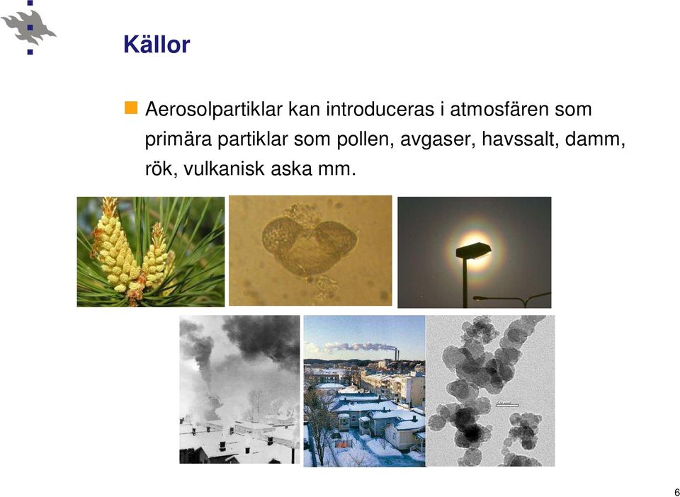 primära partiklar som pollen,