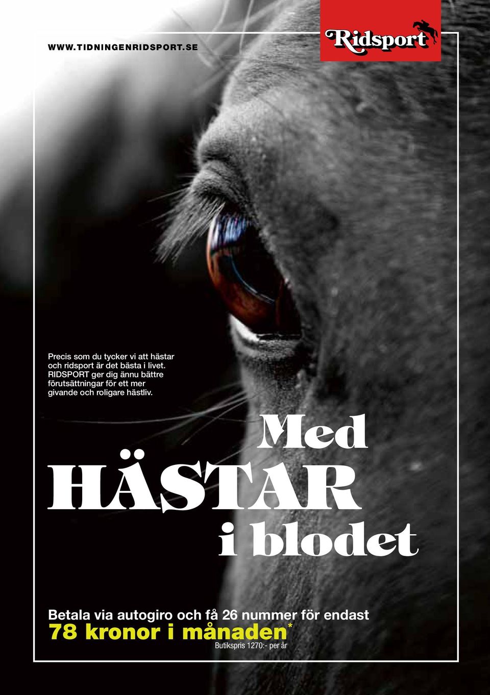 hästar Din sökmotor och guide till hästvärlden på internet!