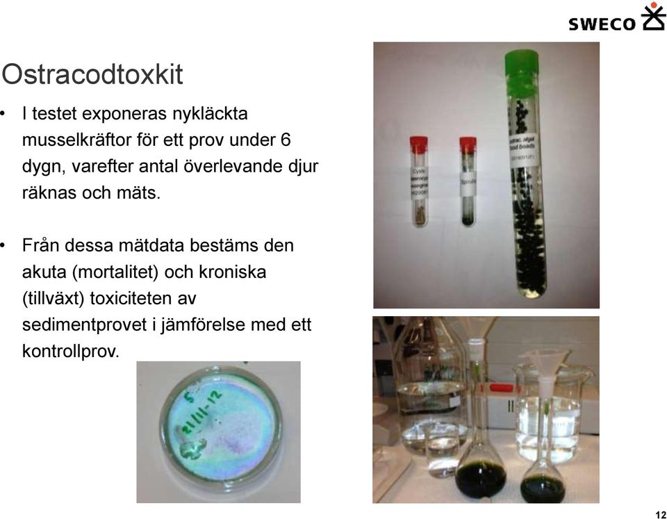 Från dessa mätdata bestäms den akuta (mortalitet) och kroniska