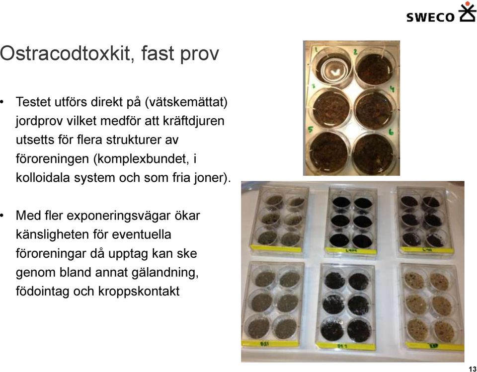 kolloidala system och som fria joner).