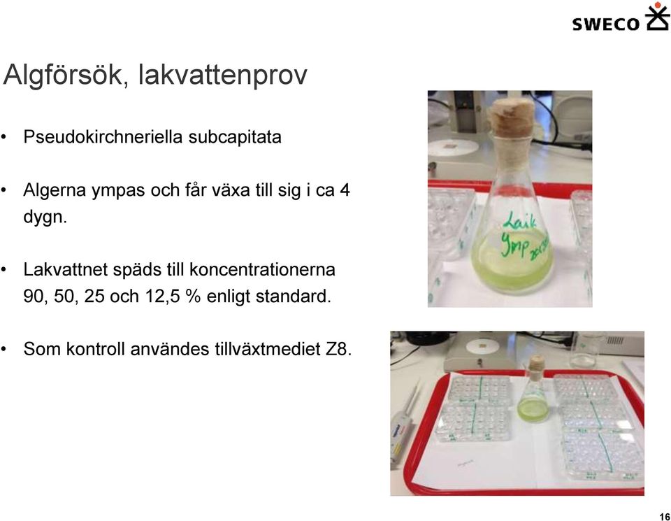 Lakvattnet späds till koncentrationerna 90, 50, 25 och