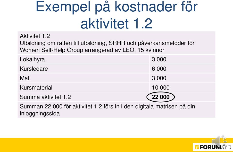 Group arrangerad av LEO, 15 kvinnor Lokalhyra 3 000 Kursledare 6 000 Mat 3 000