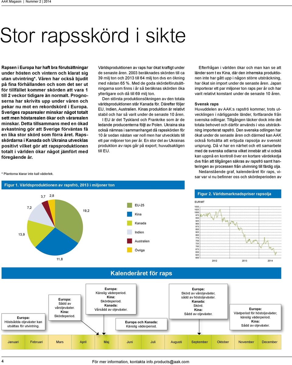 Prognoserna har skrivits upp under våren och pekar nu mot en rekordskörd i Europa. Sveriges rapsarealer minskar något totalt sett men höstarealen ökar och vårarealen minskar.