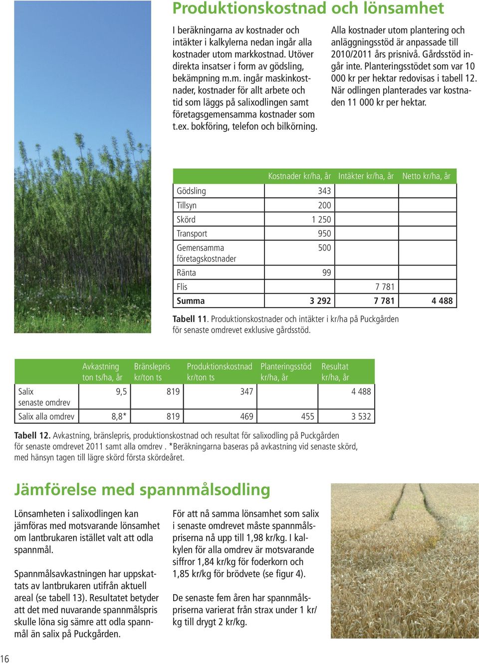 Planteringsstödet som var 10 000 kr per hektar redovisas i tabell 12. När odlingen planterades var kostnaden 11 000 kr per hektar.