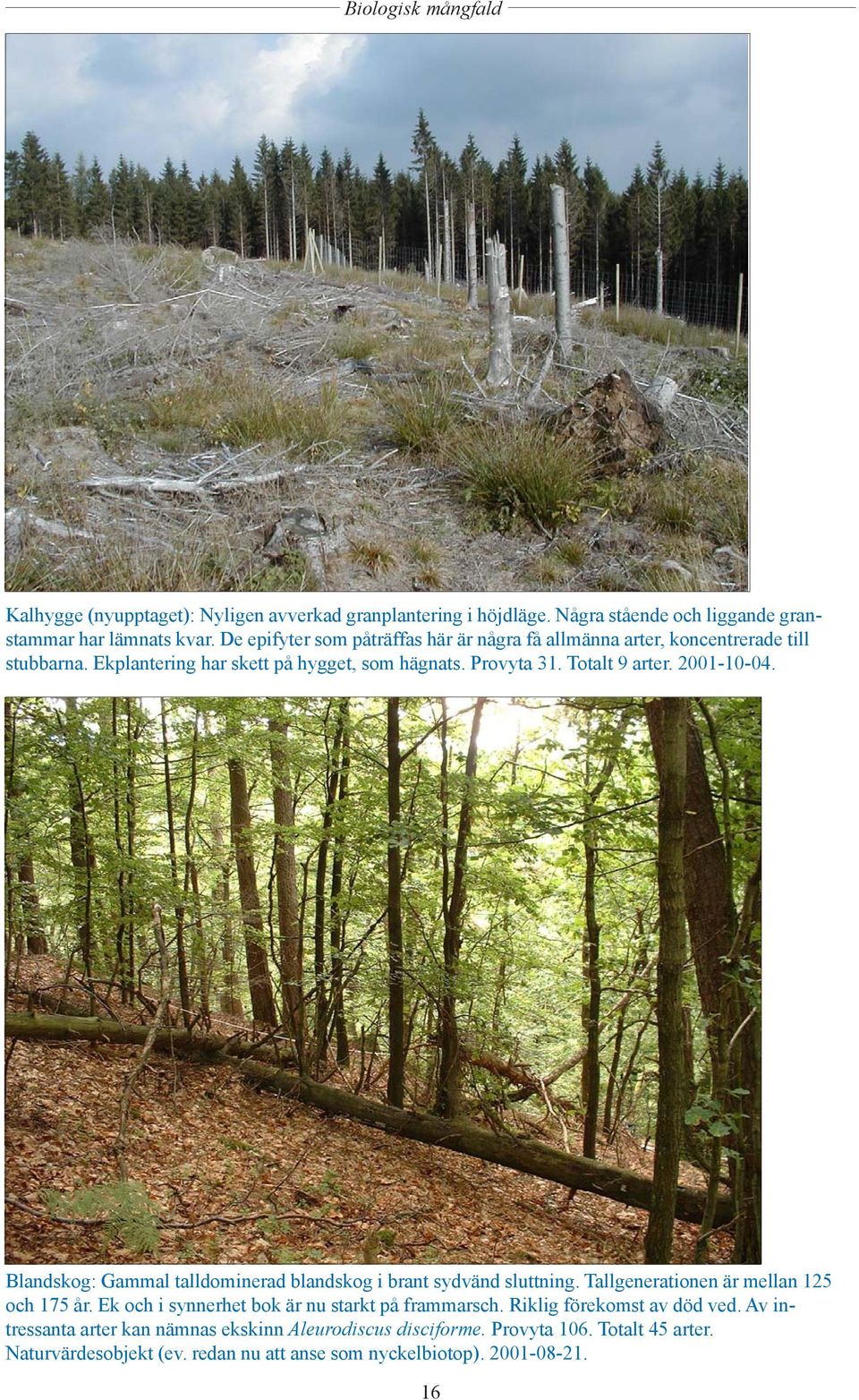 2001-10-04. Blandskog: Gammal talldominerad blandskog i brant sydvänd sluttning. Tallgenerationen är mellan 125 och 175 år.