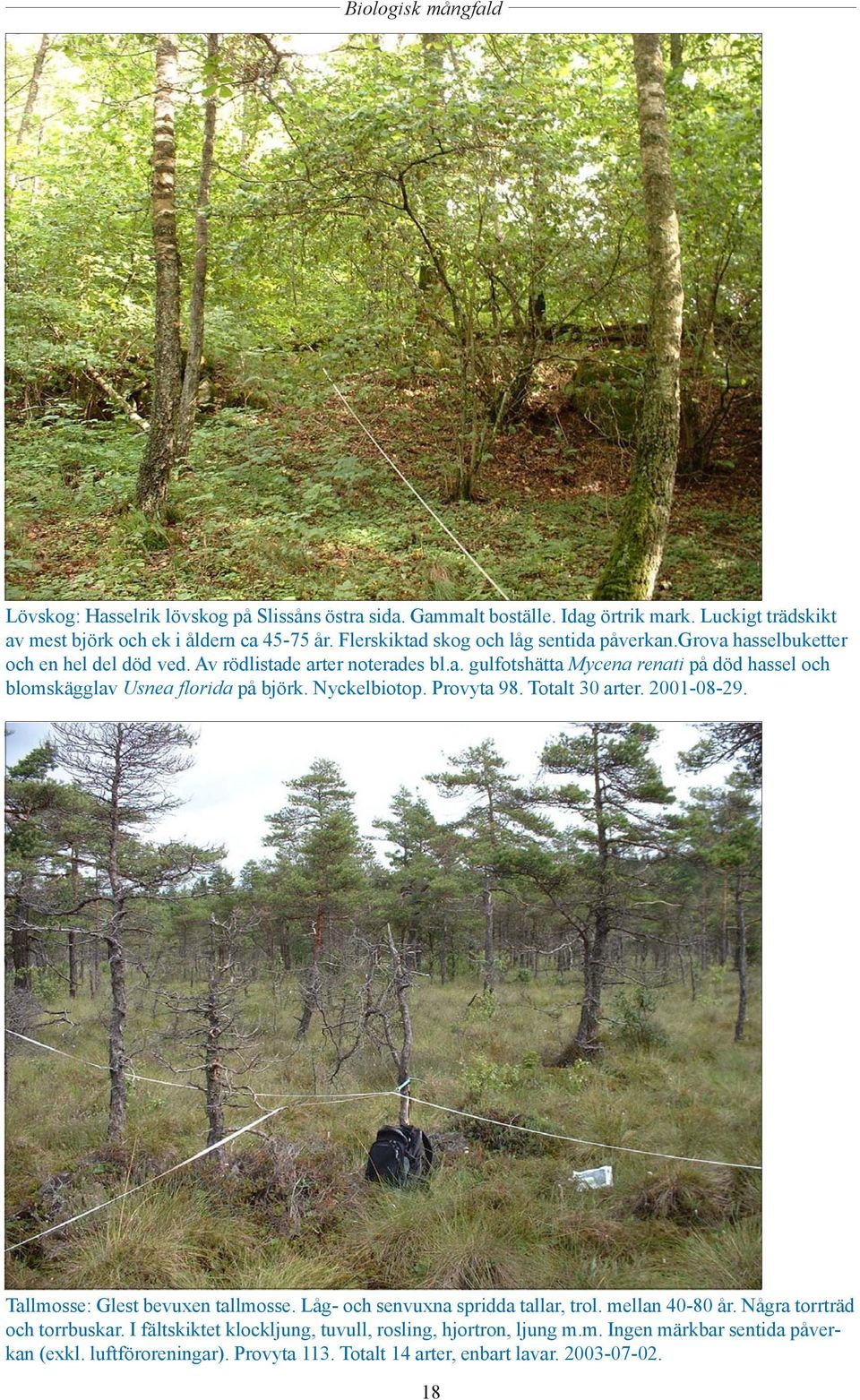 Nyckelbiotop. Provyta 98. Totalt 30 arter. 2001-08-29. Tallmosse: Glest bevuxen tallmosse. Låg- och senvuxna spridda tallar, trol. mellan 40-80 år. Några torrträd och torrbuskar.