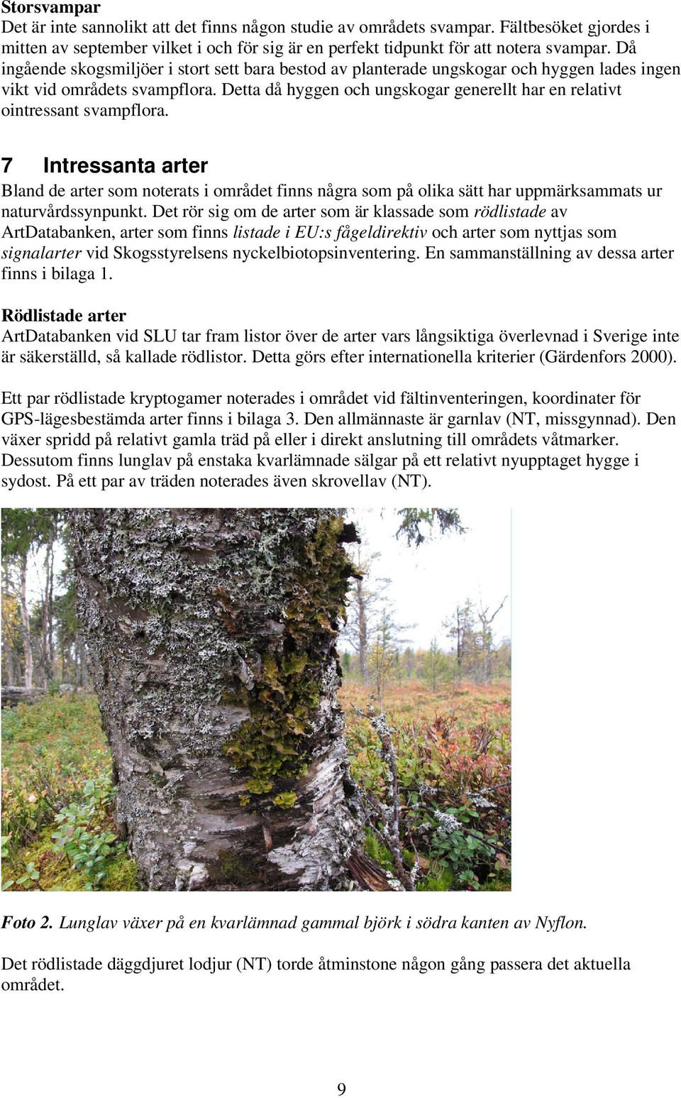 Detta då hyggen och ungskogar generellt har en relativt ointressant svampflora.