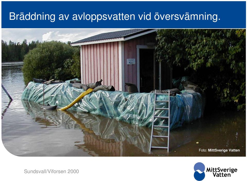 översvämning.