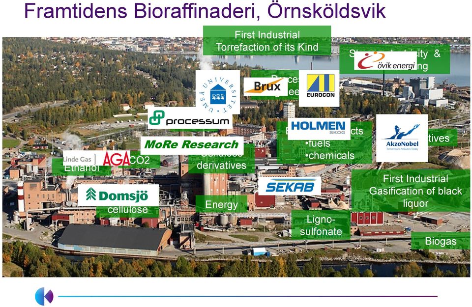 Ethanol products Extractives fuels Cellulose chemicals f orest in Örnsköldsvik, CO2biorefinery derivatives