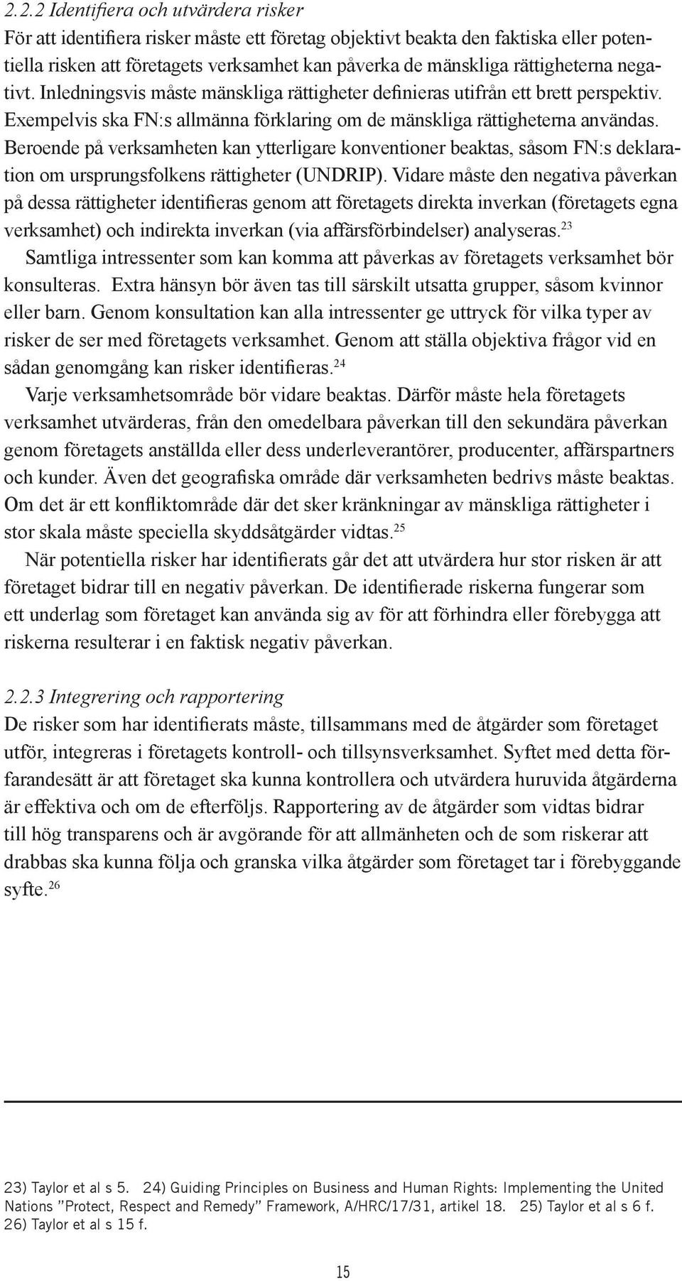 Beroende på verksamheten kan ytterligare konventioner beaktas, såsom FN:s deklaration om ursprungsfolkens rättigheter (UNDRIP).