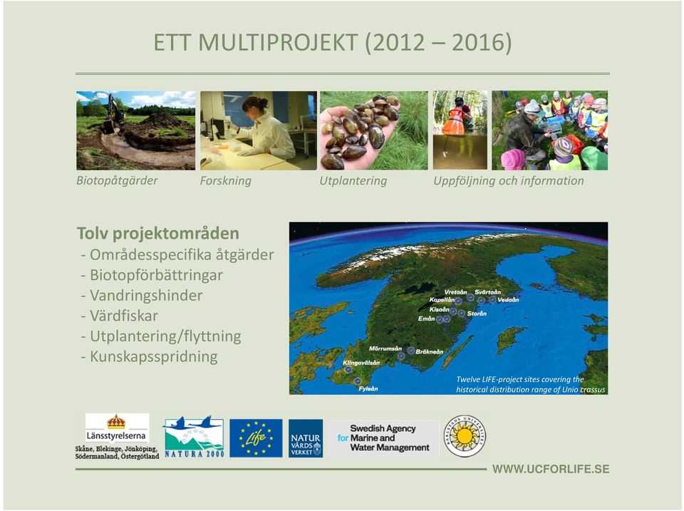 Biotopförbättringar - Vandringshinder - Värdfiskar - Utplantering/flyttning -