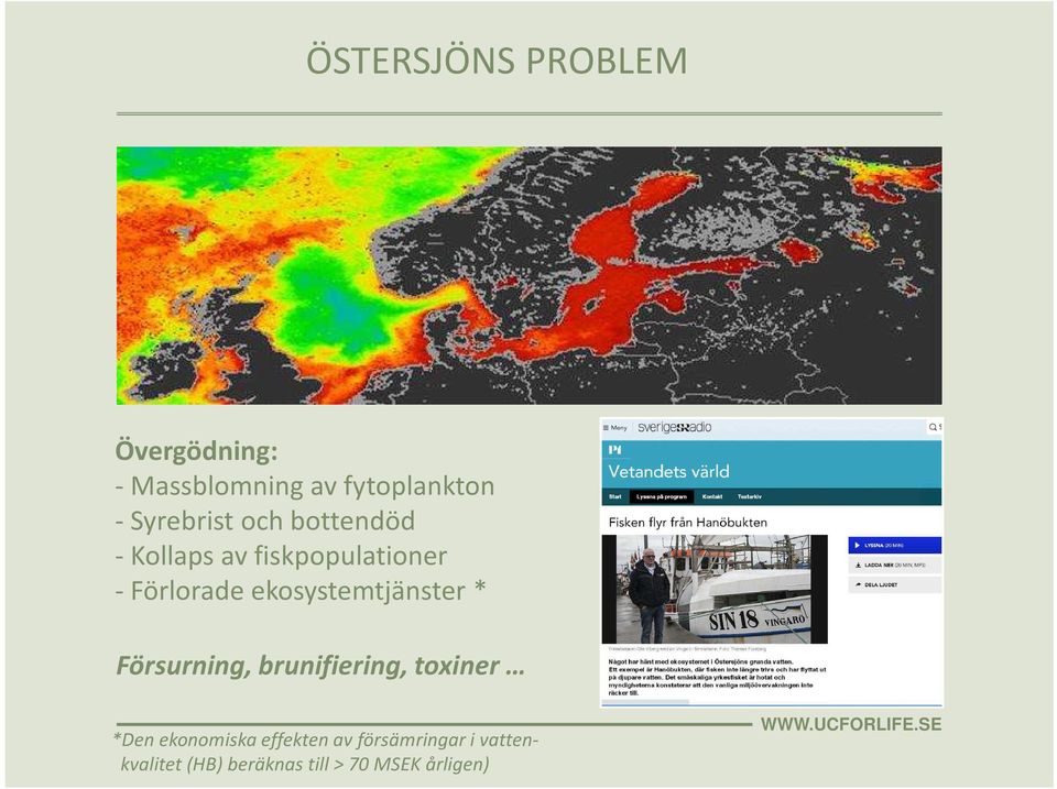 ekosystemtjänster * Försurning, brunifiering, toxiner *Den ekonomiska